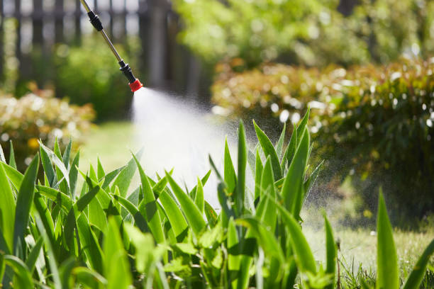 24/7 Emergency Cockroach Control experts in Indian Trail, NC